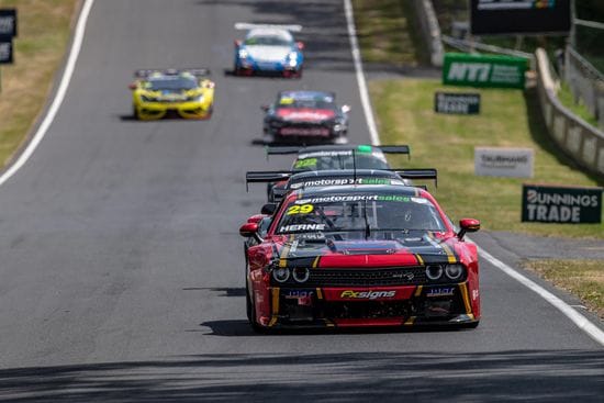 Eight TA2 cars line up in Bathurst 1000 supports